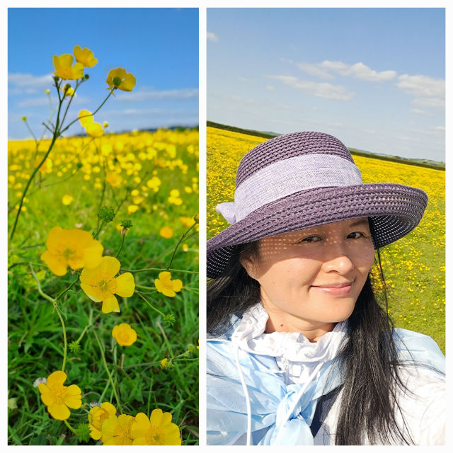 Vicky Yeung profile picture