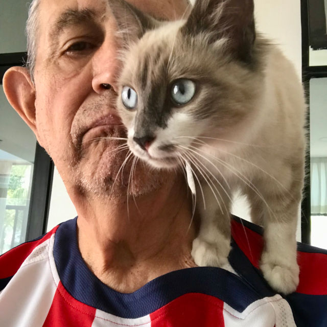 MD José Luis G. B.  profile picture