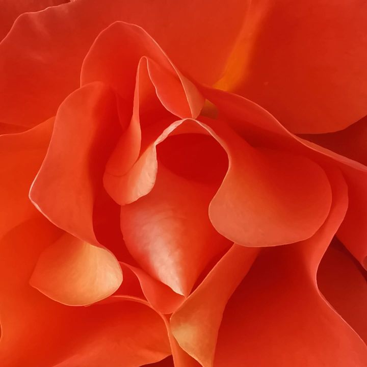 Max Heinz profile picture
