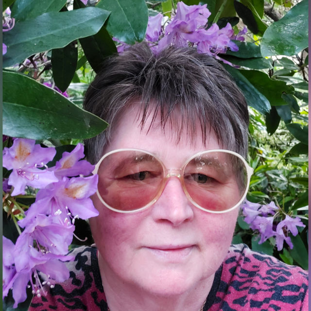 Sonja profile picture