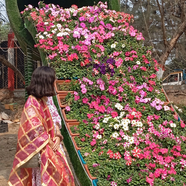 Maliha Salsabil profile picture
