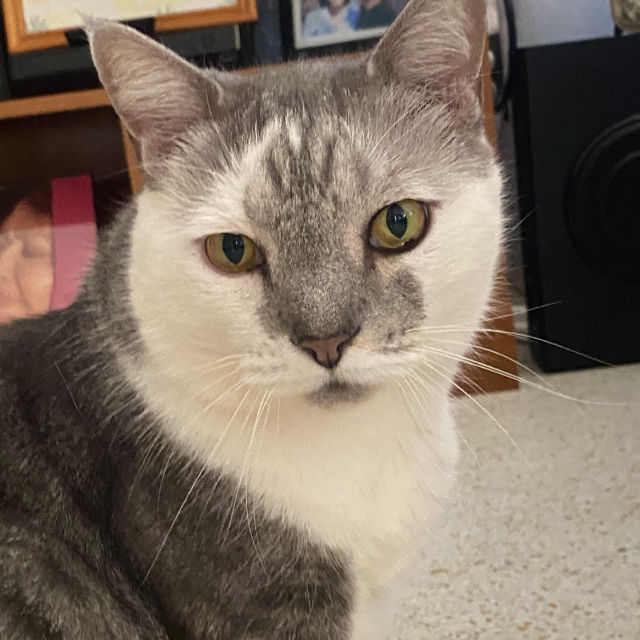 Martha profile picture