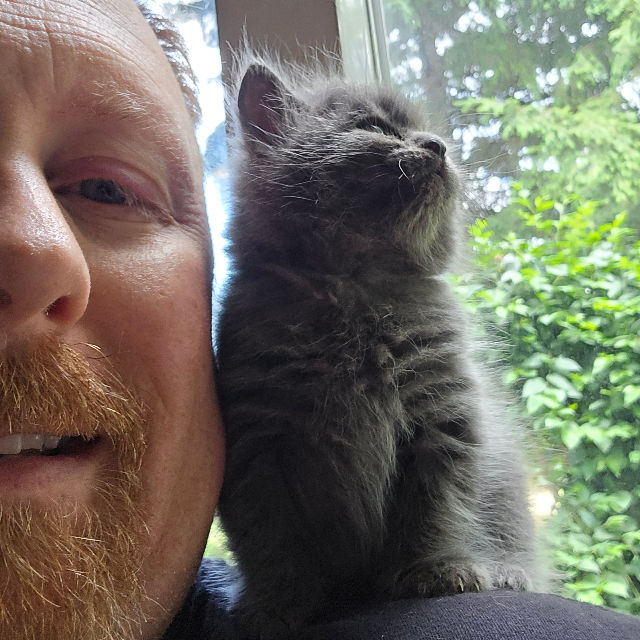 Dusty - Insta @the_plantstar profile picture