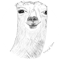 Arbor Chetia profile picture