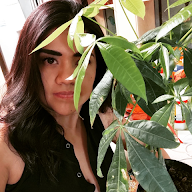 Dianita xhacón profile picture