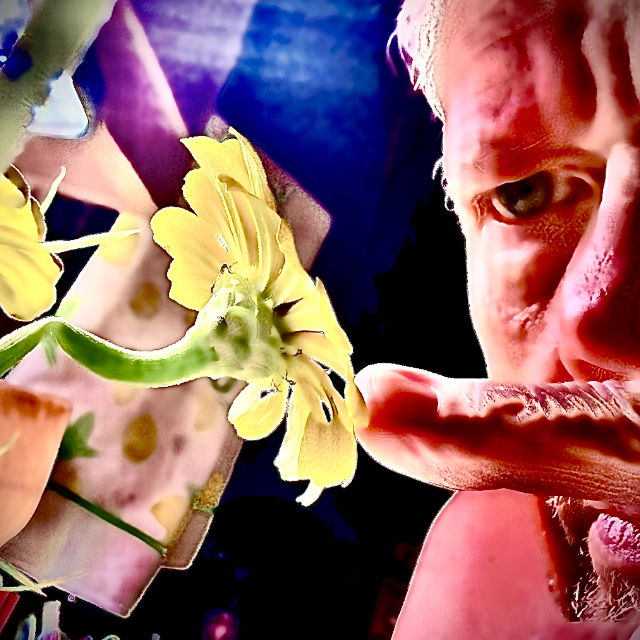 B. radiculous (Brad) profile picture