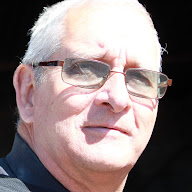albert palm profile picture