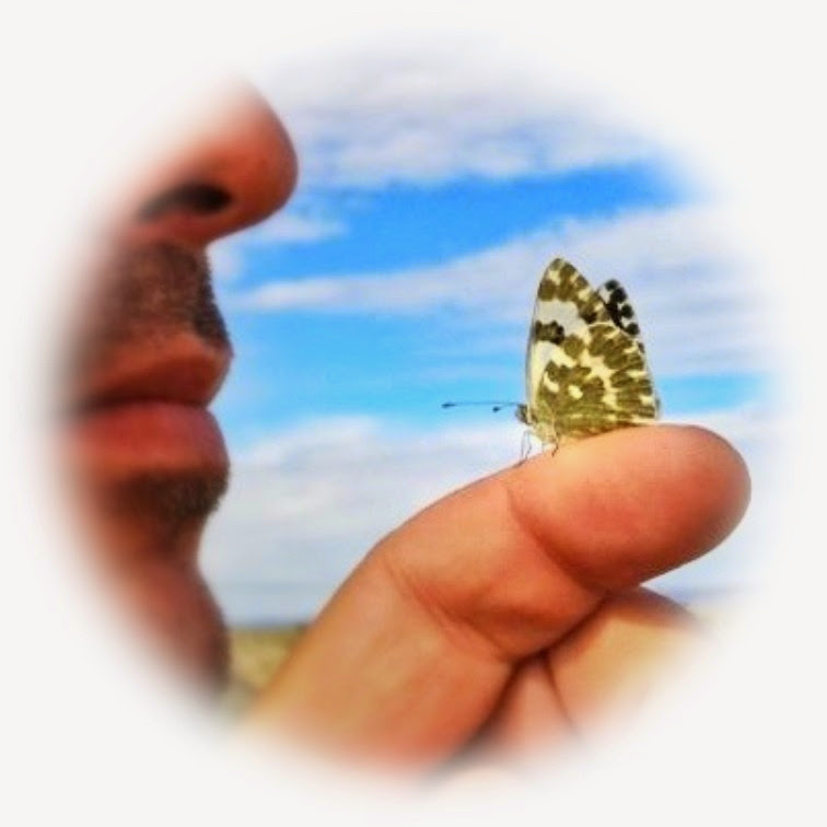 Jorge M. profile picture