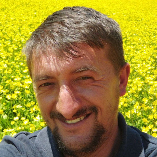 Bülent Avcı profile picture