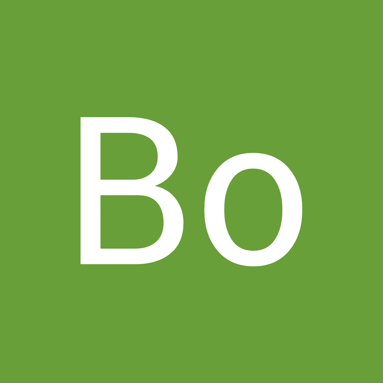 Bo  profile picture