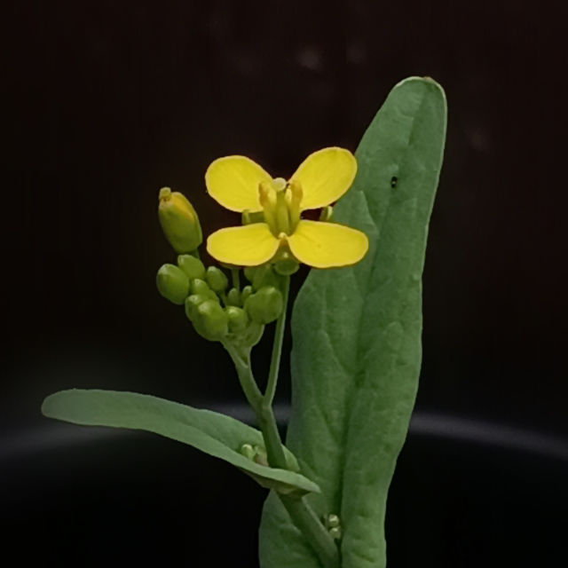 excellence in nature  Instagram  profile picture
