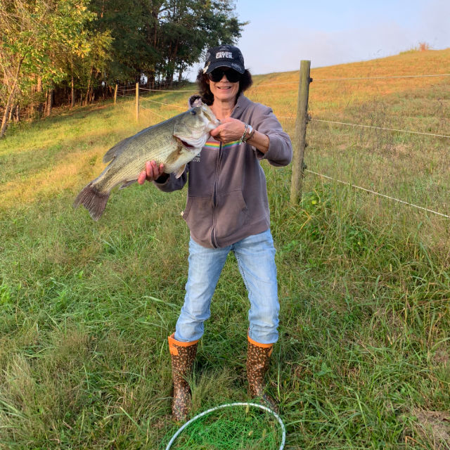 Sheila ……Always catch and release profile picture