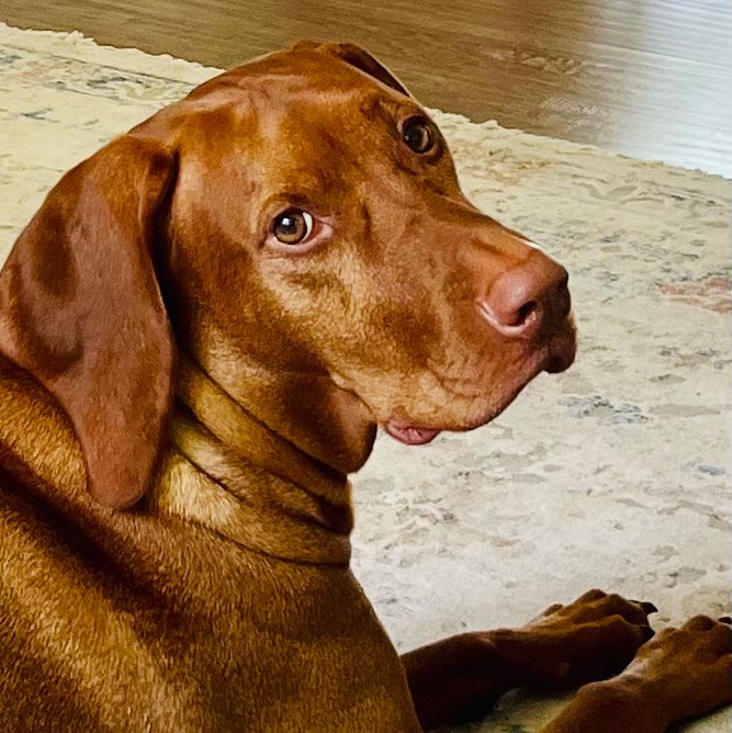Jo profile picture