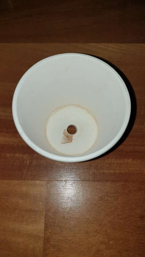 Rośliny nawóz ziemia inna nieroślinna propozycja 3