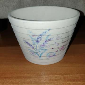 Rośliny nawóz ziemia inna nieroślinna propozycja