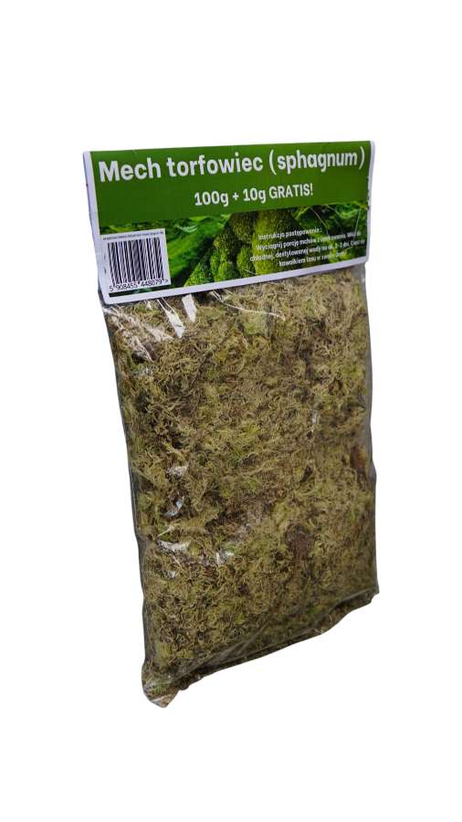Sphagnum ŻYWE! Prawdziwe, żywe nie w brykiecie. Torfowiec. 2