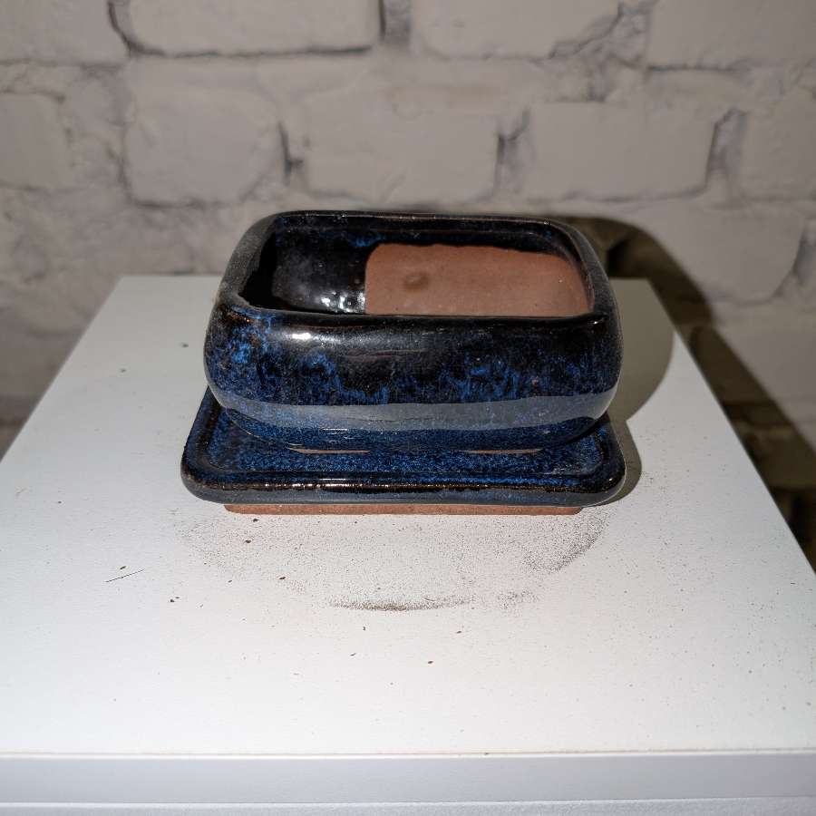 doniczka na bonsai