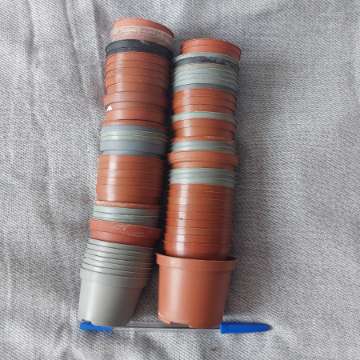 Zestaw doniczek produkcyjnych od 5 cm
