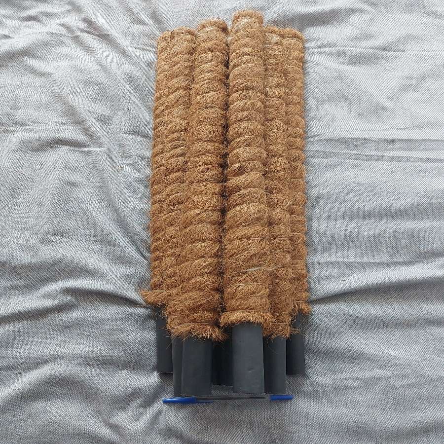 Zestaw palików kokosowych 80 cm