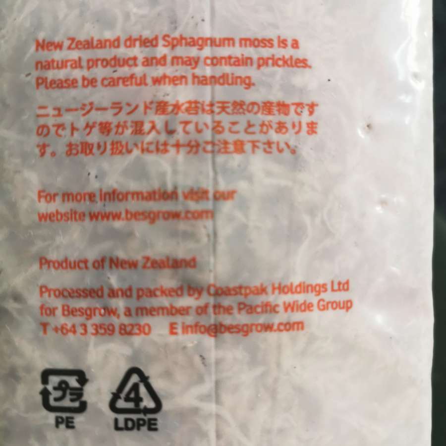Mech Sphagnum z Nowej Zelandii Sphagmoss 4