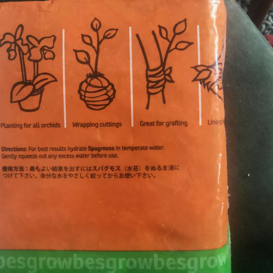 Mech Sphagnum z Nowej Zelandii Sphagmoss 3