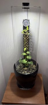 VIVARI Lab - CrystalicGrow Phytototron
