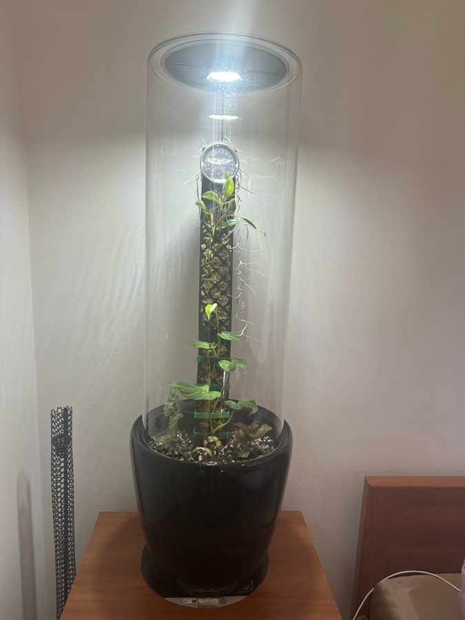 VIVARI Lab - CrystalicGrow Phytototron 2