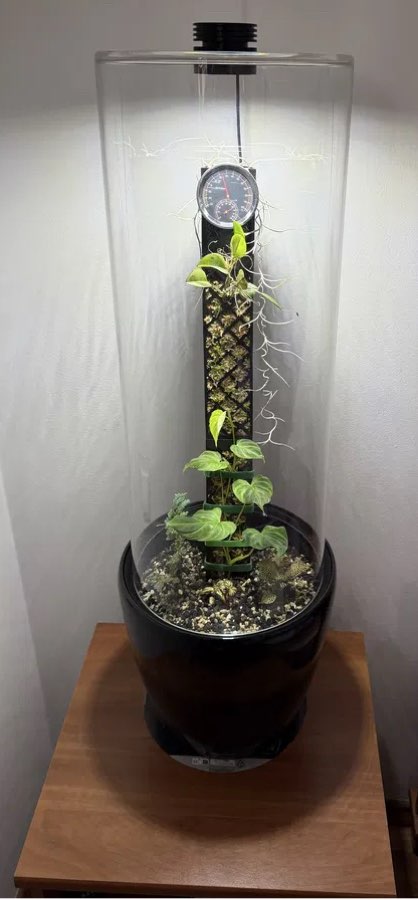 VIVARI Lab - CrystalicGrow Phytototron