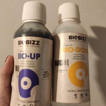 Regulatory Ph