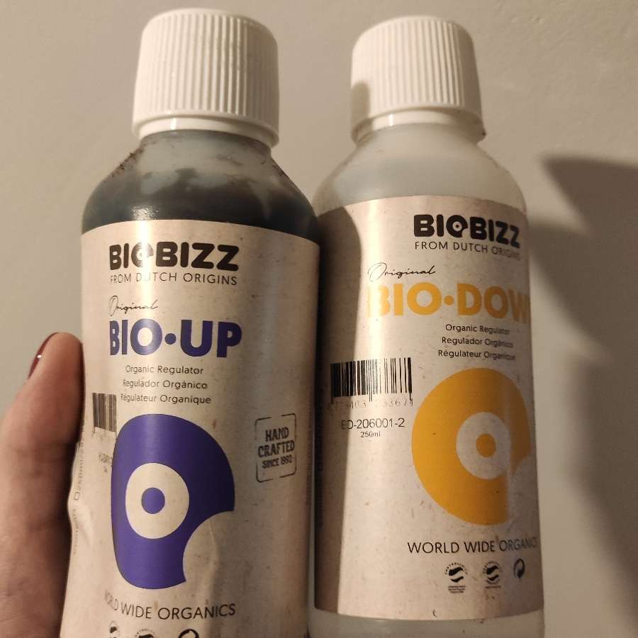 Regulatory Ph