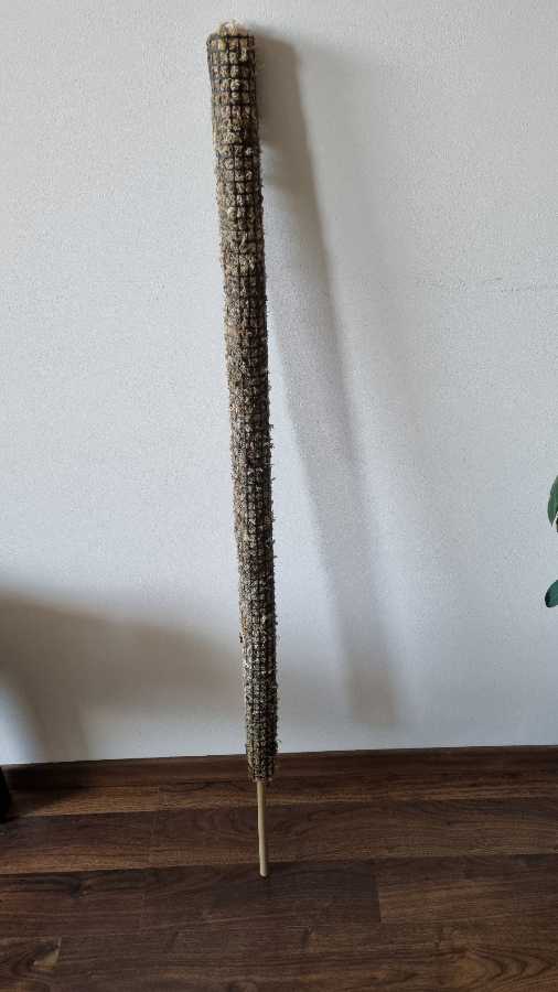 Palik, totem, podpora mech sphagnum do monstera, philodendron 2