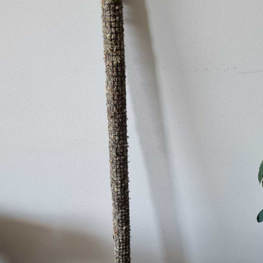 Palik, totem, podpora mech sphagnum do monstera, philodendron