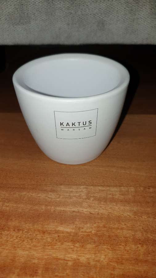 Osłonka doniczka ceramiczna z kaktus Warsaw 2