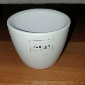 Osłonka doniczka ceramiczna z kaktus Warsaw