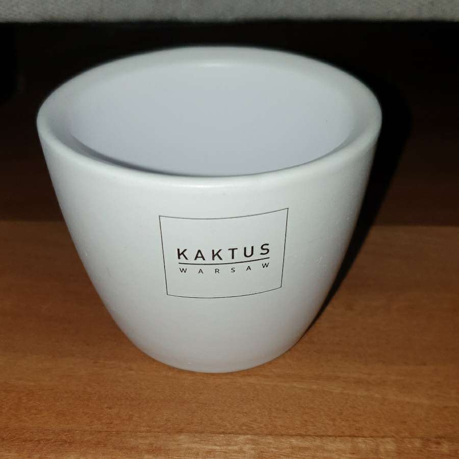 Osłonka doniczka ceramiczna z kaktus Warsaw