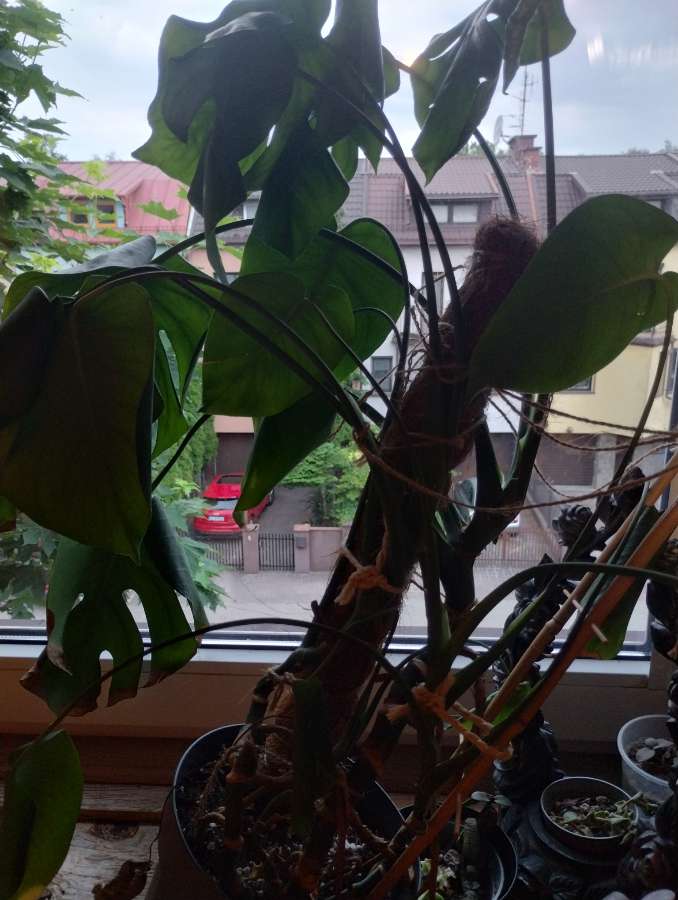 undefined 2