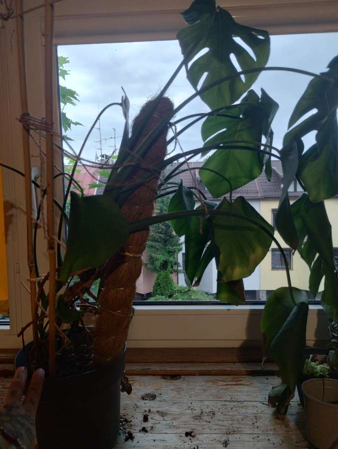 undefined 4