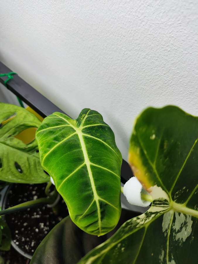 undefined 2