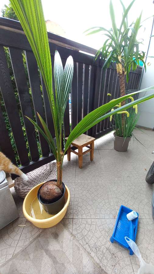 undefined 2