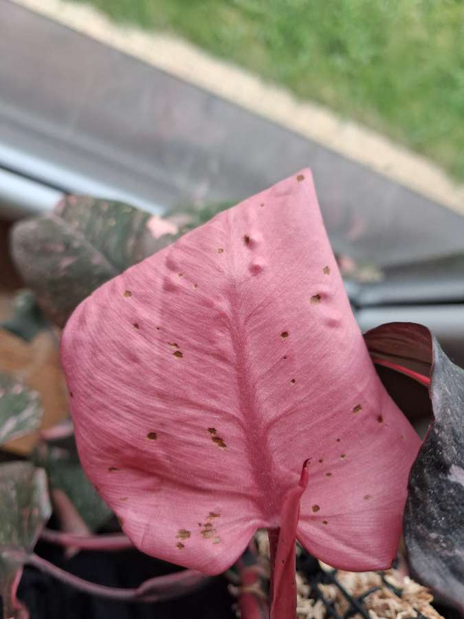 undefined 2