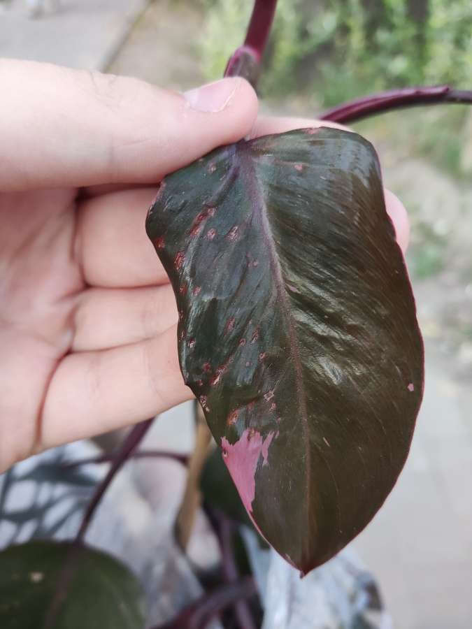 undefined 3