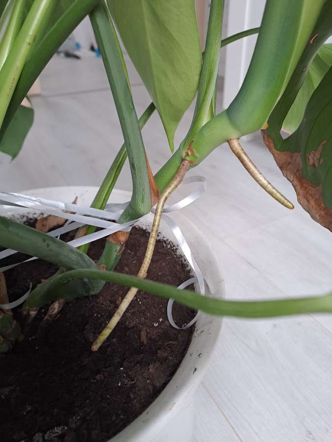 undefined 2