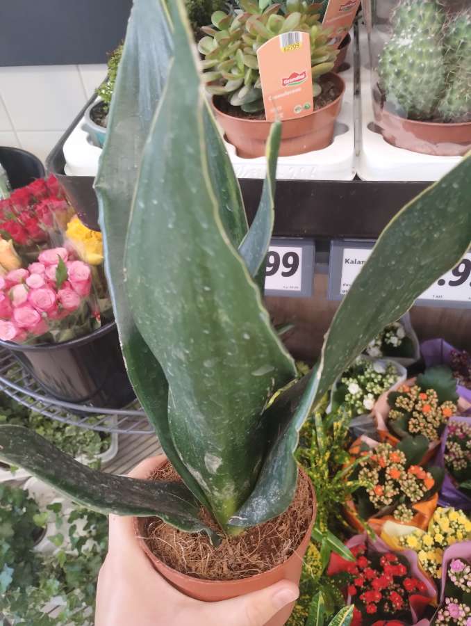 undefined 2