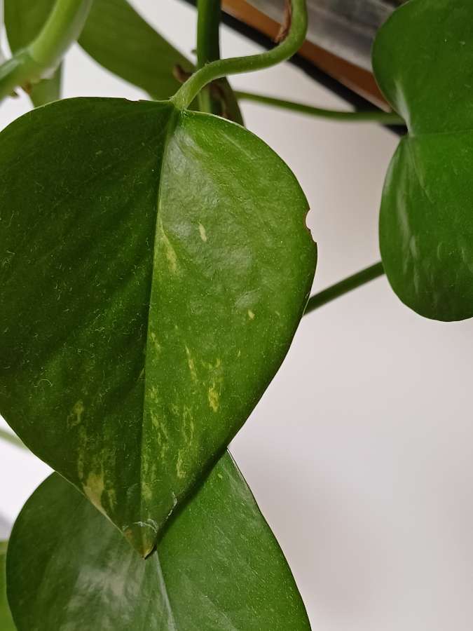 undefined 4