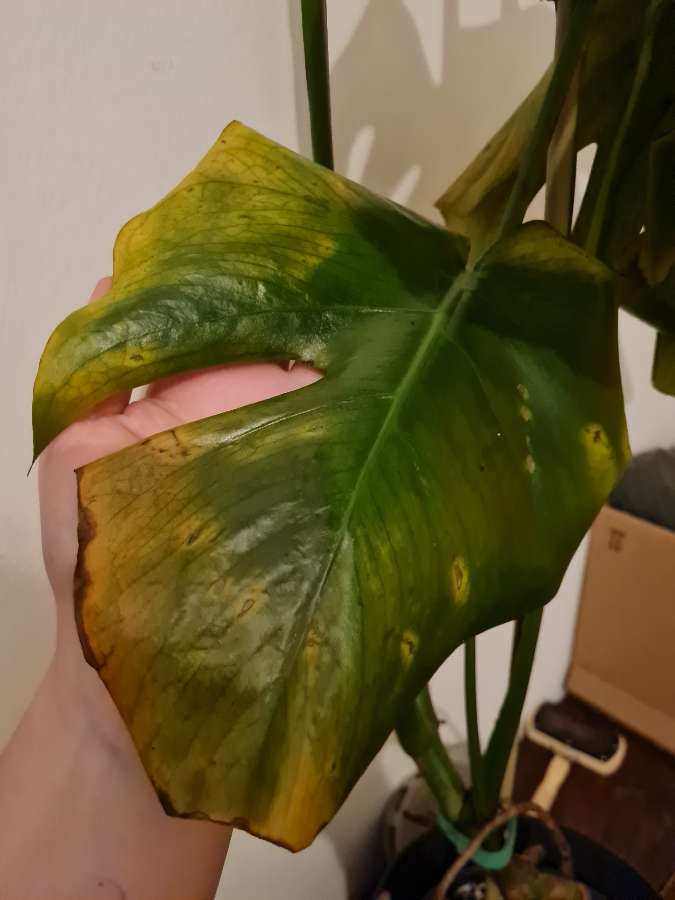 undefined 2