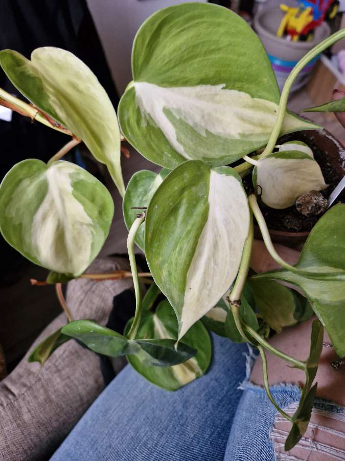 undefined 2