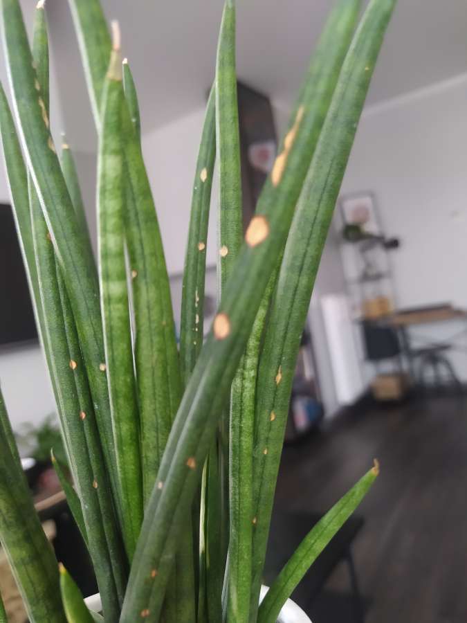 undefined 2