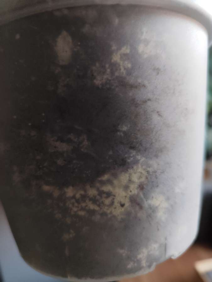 undefined 4