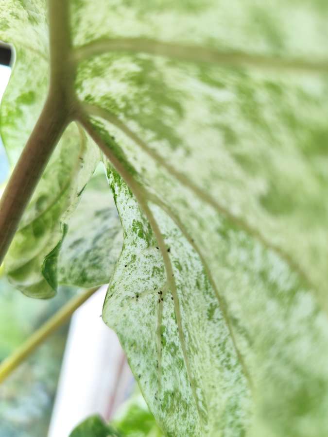 undefined 2