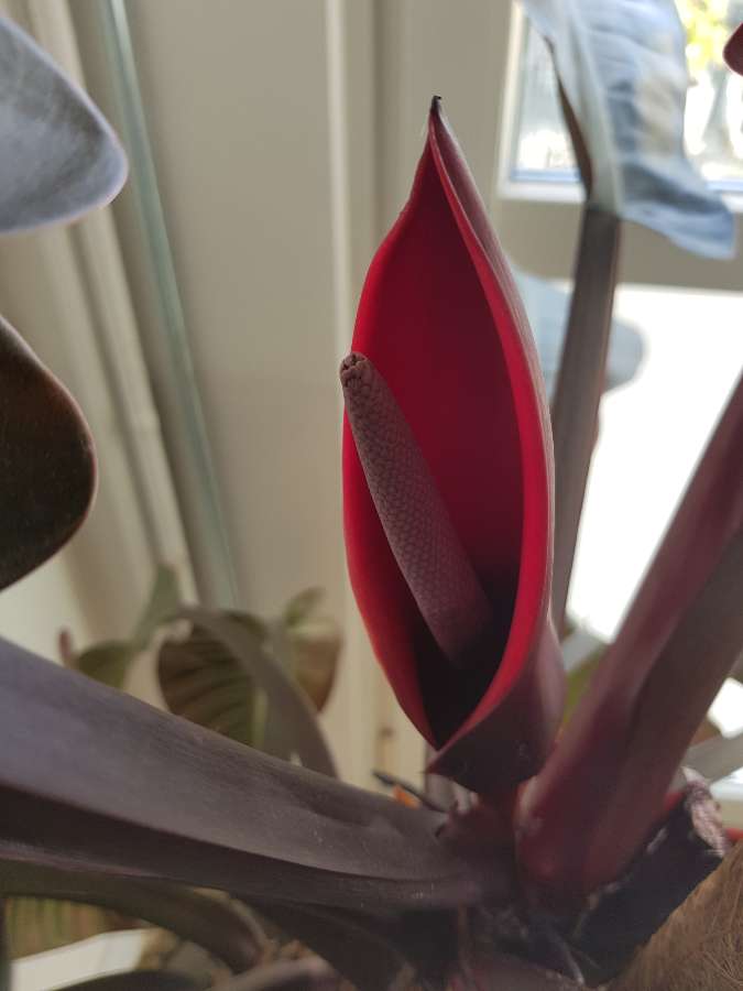 undefined 2